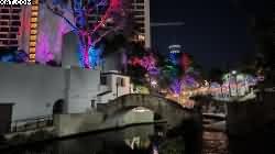IMG_20241120_195248