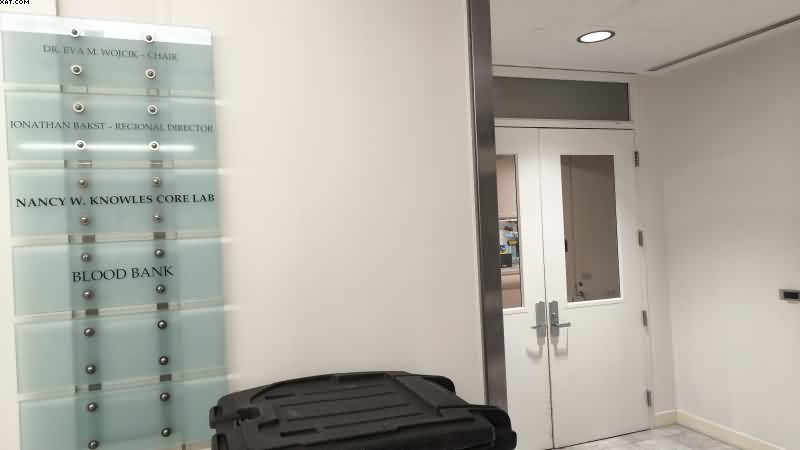 IMG_20250204_211238