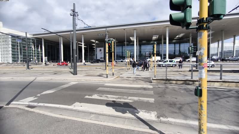 IMG_20250409_120218